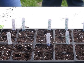 Youth Center Garden Project