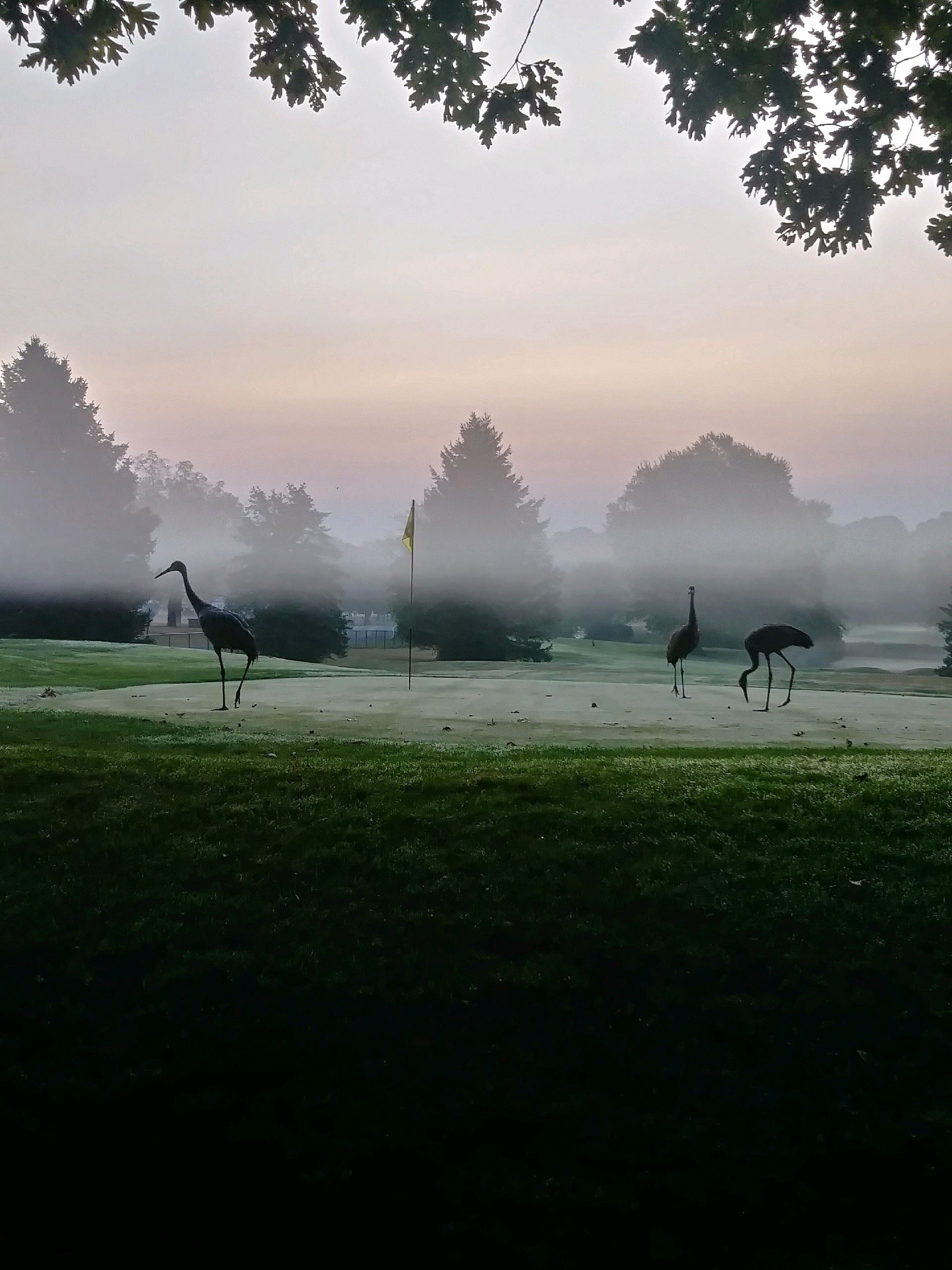 Cascades Golf Course