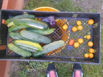 Garden Project at the Youth Center